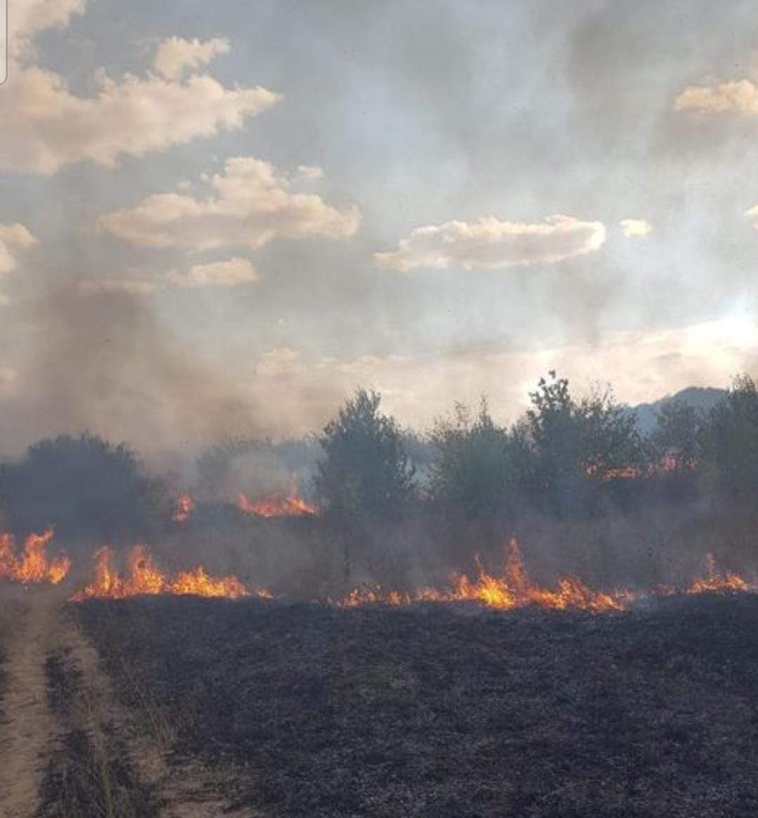 Incendiu la Hipodromul din parcul ”Nicolae Romanescu” din Craiova. Flăcările mistuitoare au cuprins cinci hectare de vegetație / FOTO