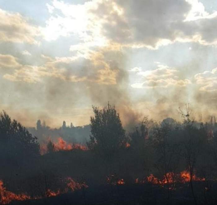 Incendiu la Hipodromul din parcul ”Nicolae Romanescu” din Craiova. Flăcările mistuitoare au cuprins cinci hectare de vegetație / FOTO