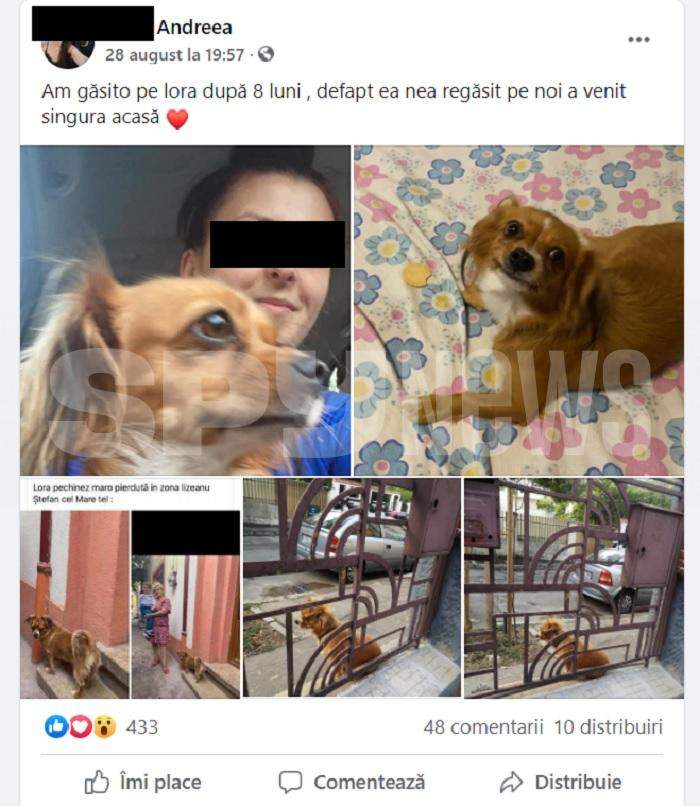 Povestea emoționantă a unei cățelușe din București care s-a întors acasă după aproape un an / Scene demne de filmele de la Hollywood