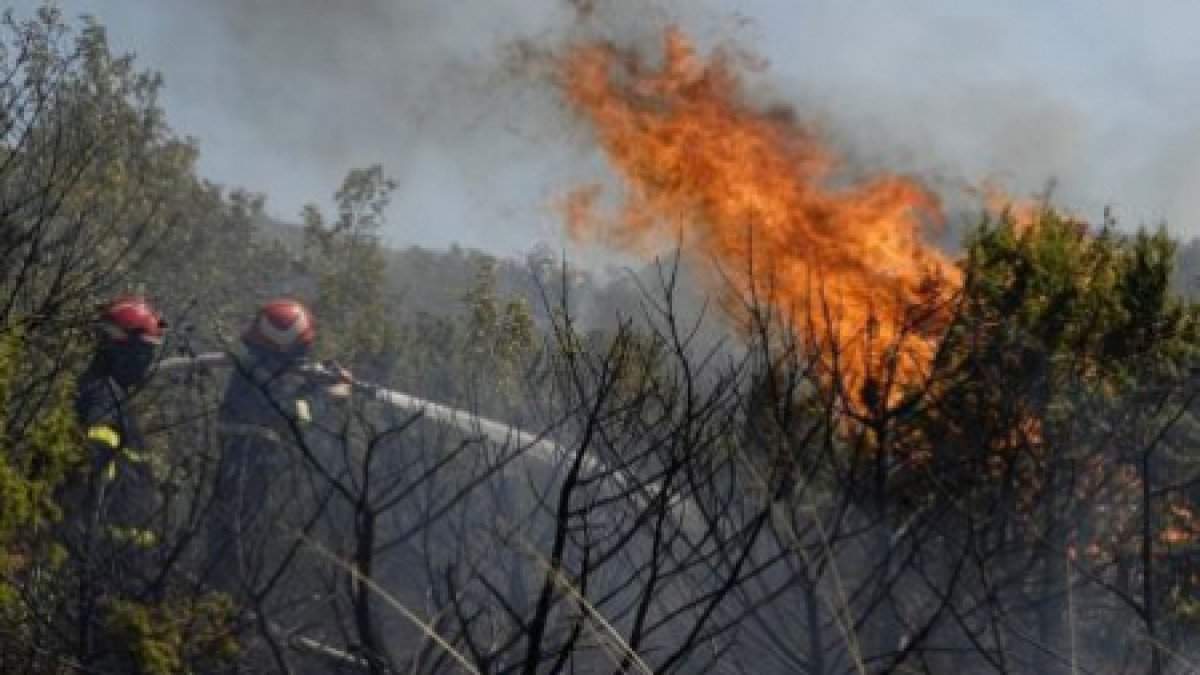 Incendiu de proporții în Mehedinți. Peste 40 de pompieri au intervenit pentru stingerea flăcărilor