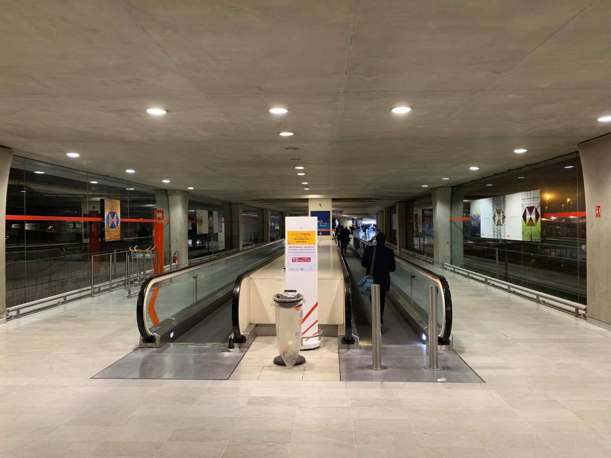 Aeroport Un american care se îndrepta către festivalul Untold a fost prins cu ciuperci halucinogene în bagaj. Ce s-a întâmplat cu bărbatul