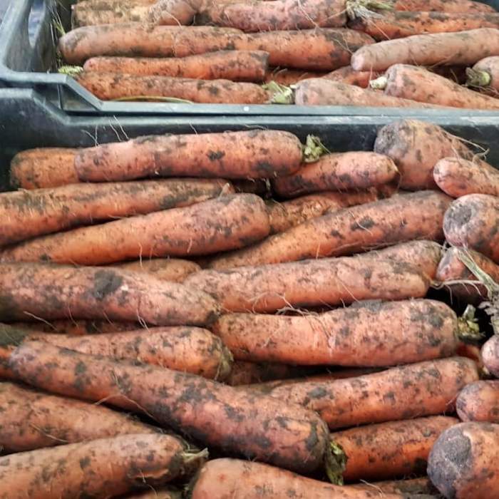 Un transport de morcovi a căzut peste un muncitor din Spania