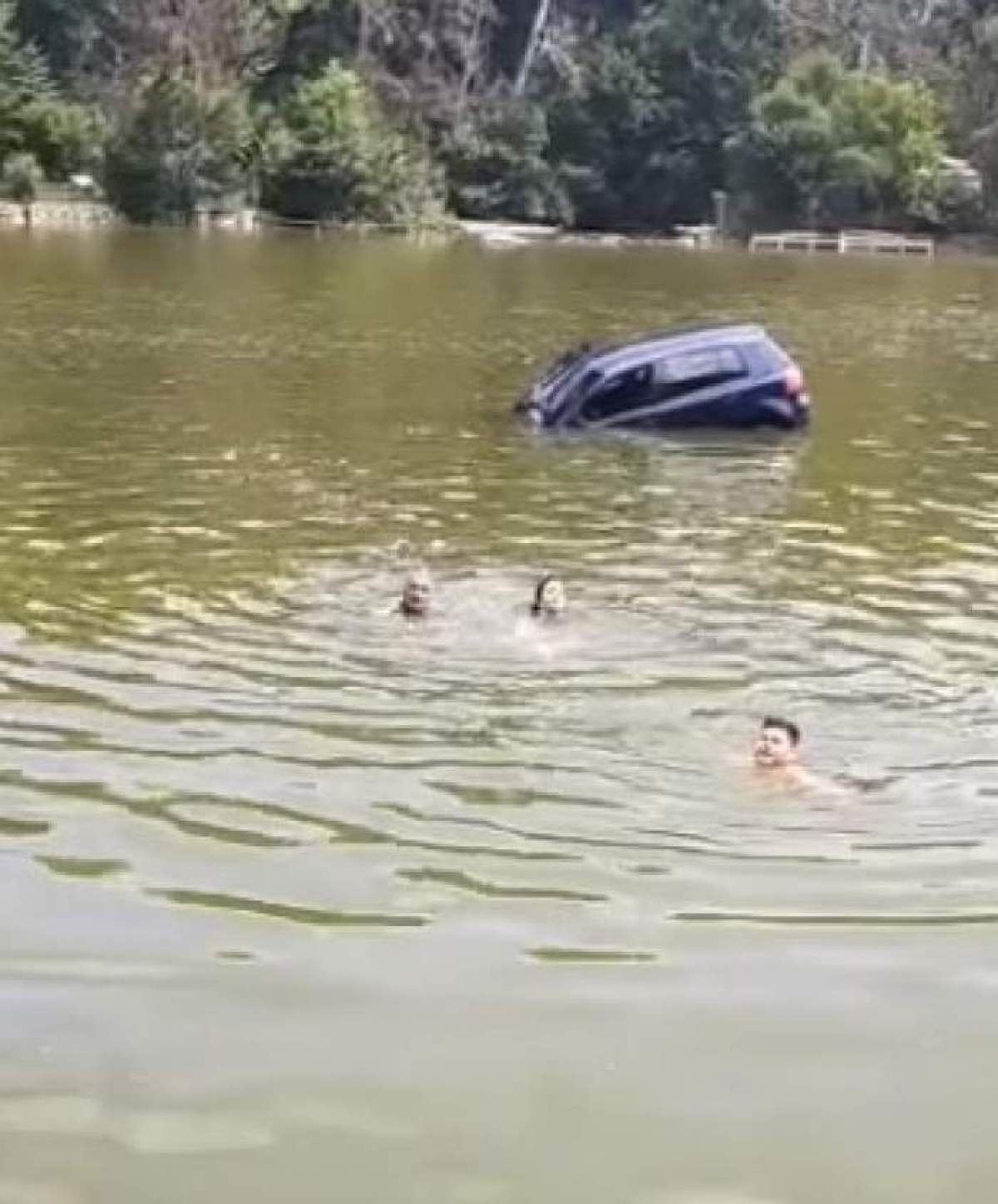O mașină în care se aflau patru persoane a căzut într-un râu