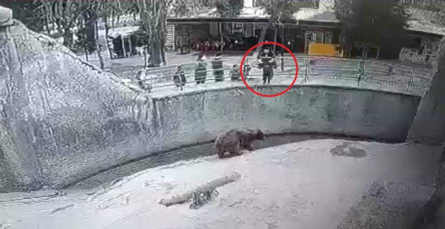 Un moment șocant a avut loc la o grădină zoologică, după ce o mamă și-a aruncat fetița în adăpostul unui urs
