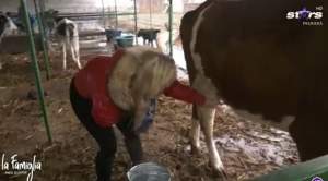 Amalia Bellantoni a trecut la munca ”de jos”. Cum se descurcă vedeta la mulsul vacii / VIDEO