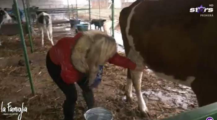 Amalia Bellantoni a trecut la munca ”de jos”. Cum se descurcă vedeta la mulsul vacii / VIDEO
