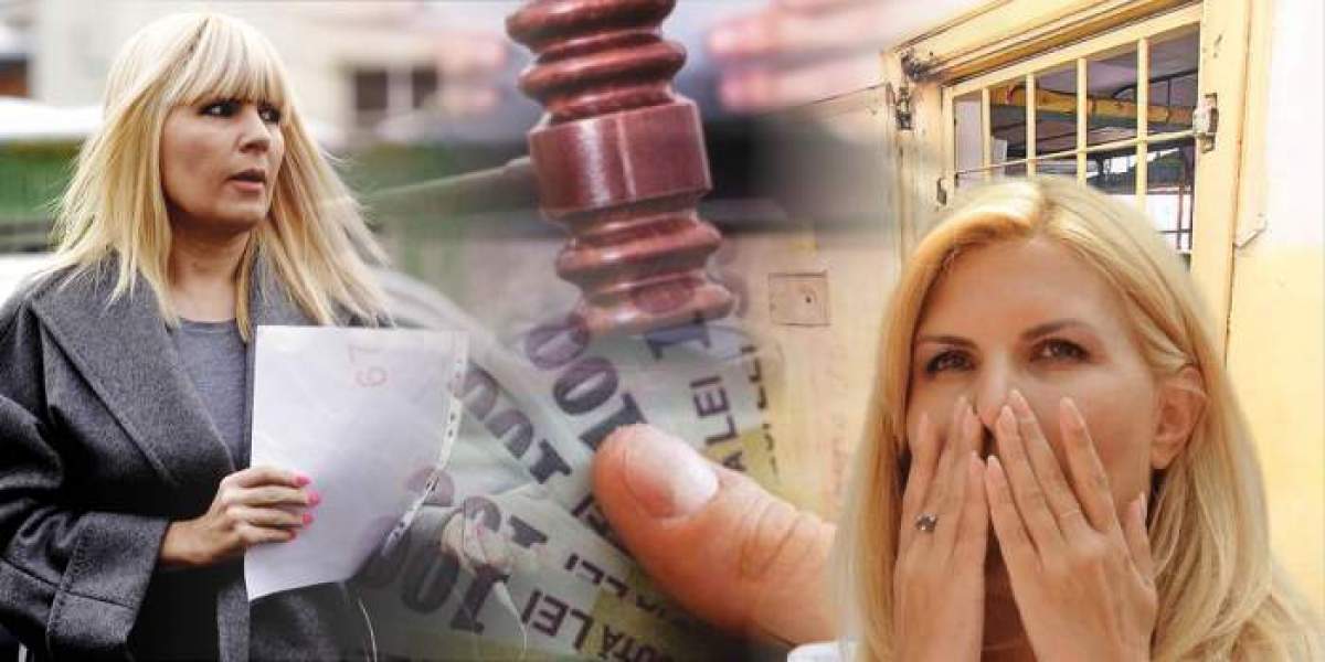 Încă o lovitură pentru Elena Udrea. Mașinile și terenurile fostului ministru, scoase la vânzare de ANAF