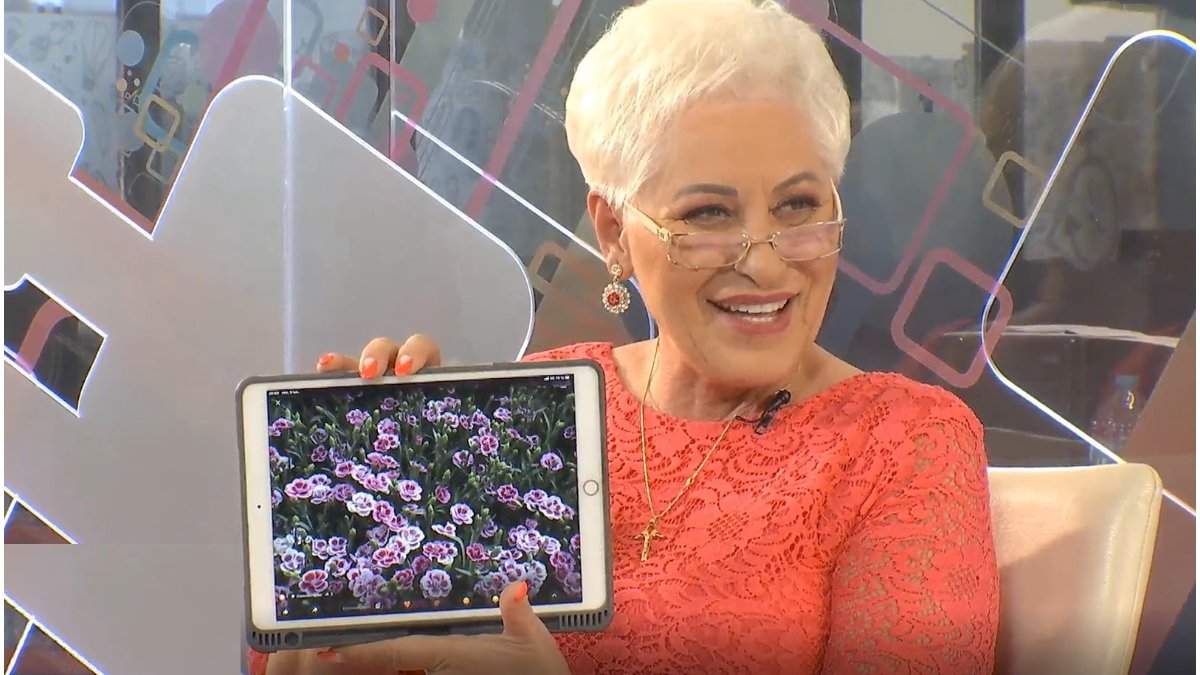 Planta care îți face viața mai bună. Lidia Fecioru, trucuri despre cum să așezi florile în casă