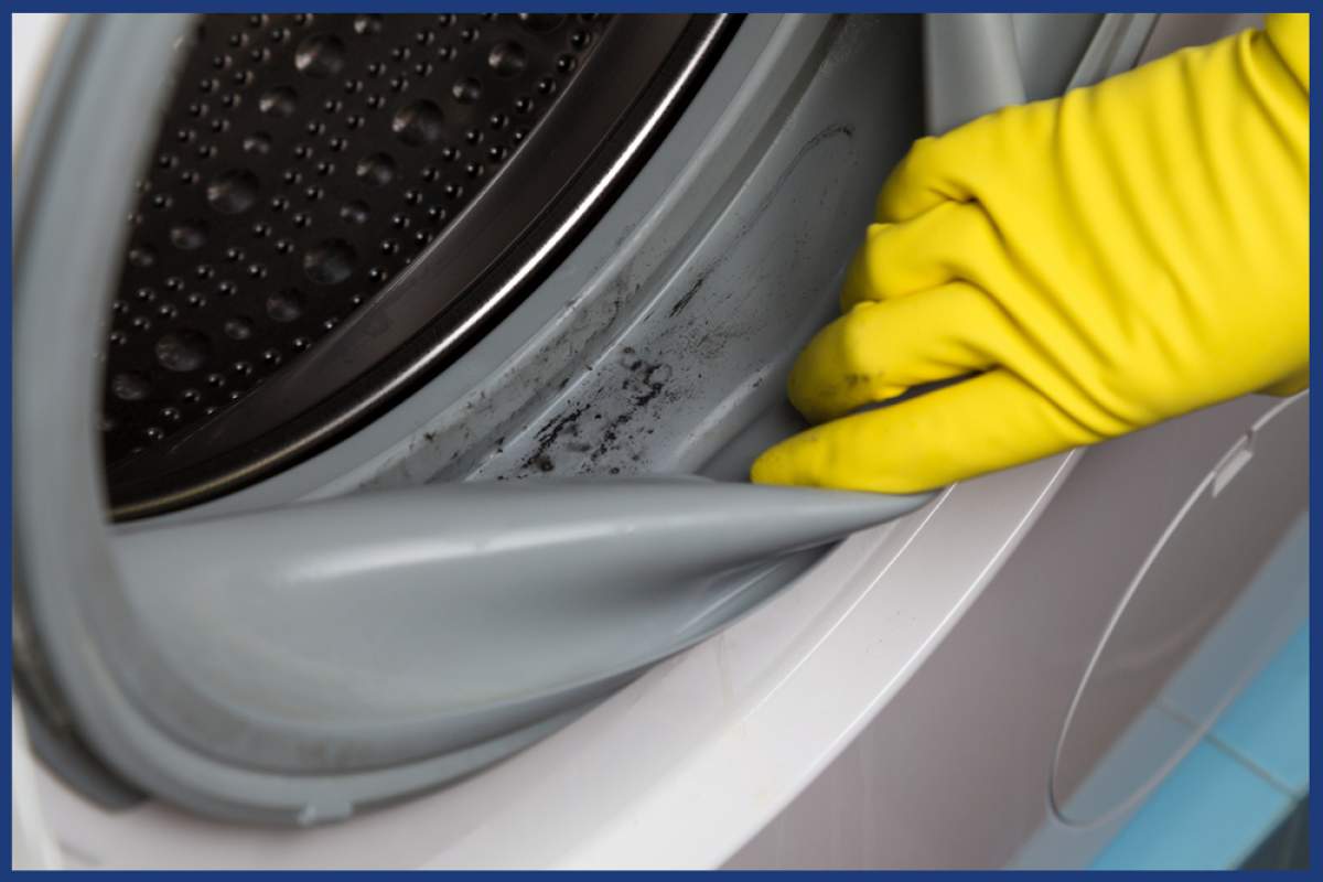 Cum să elimini mucegaiul din mașina de spălat. Trucul cu patru ingrediente ieftine