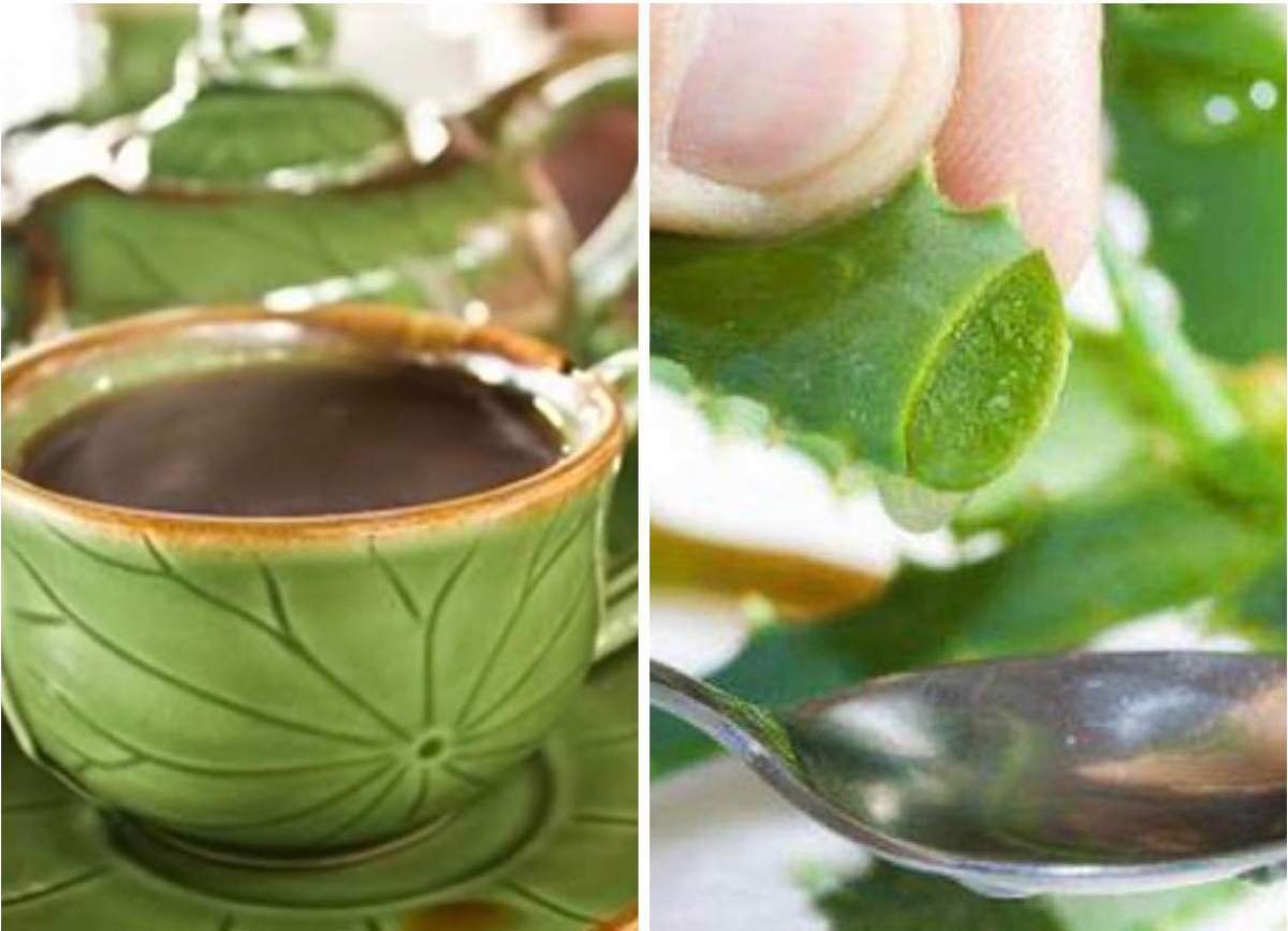 Colaj o cană verde de ceai și o poză cu Aloe Vera