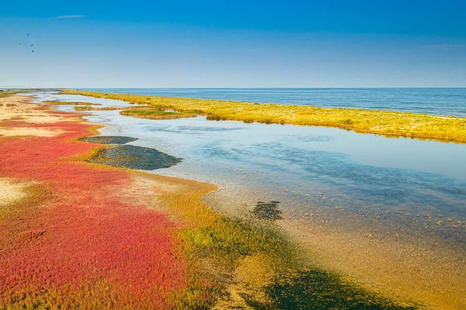 Orașe din România prin care trece Dunărea! Puțini au văzut colțul de Rai unde Marea Neagră se unește cu Dunărea și cerul/ FOTO