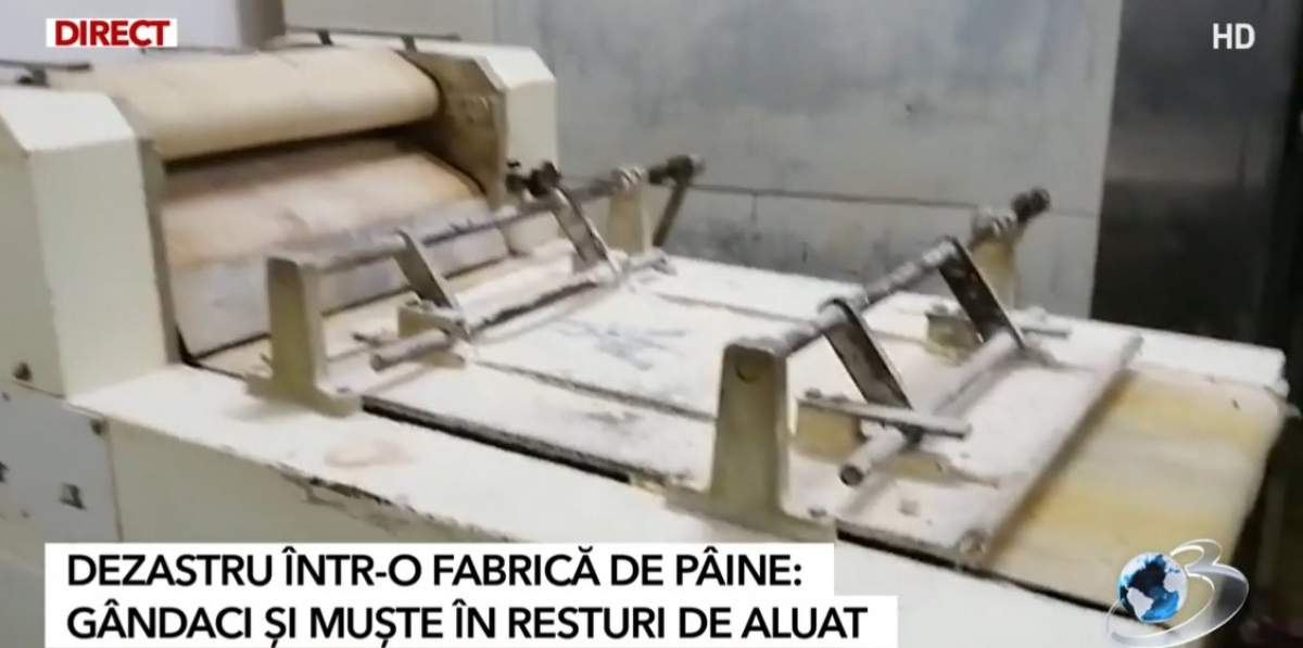 Gândaci și muște, găsite de ANPC la o fabrică de patiserie din România. Ce sancțiuni au primit patronii / VIDEO