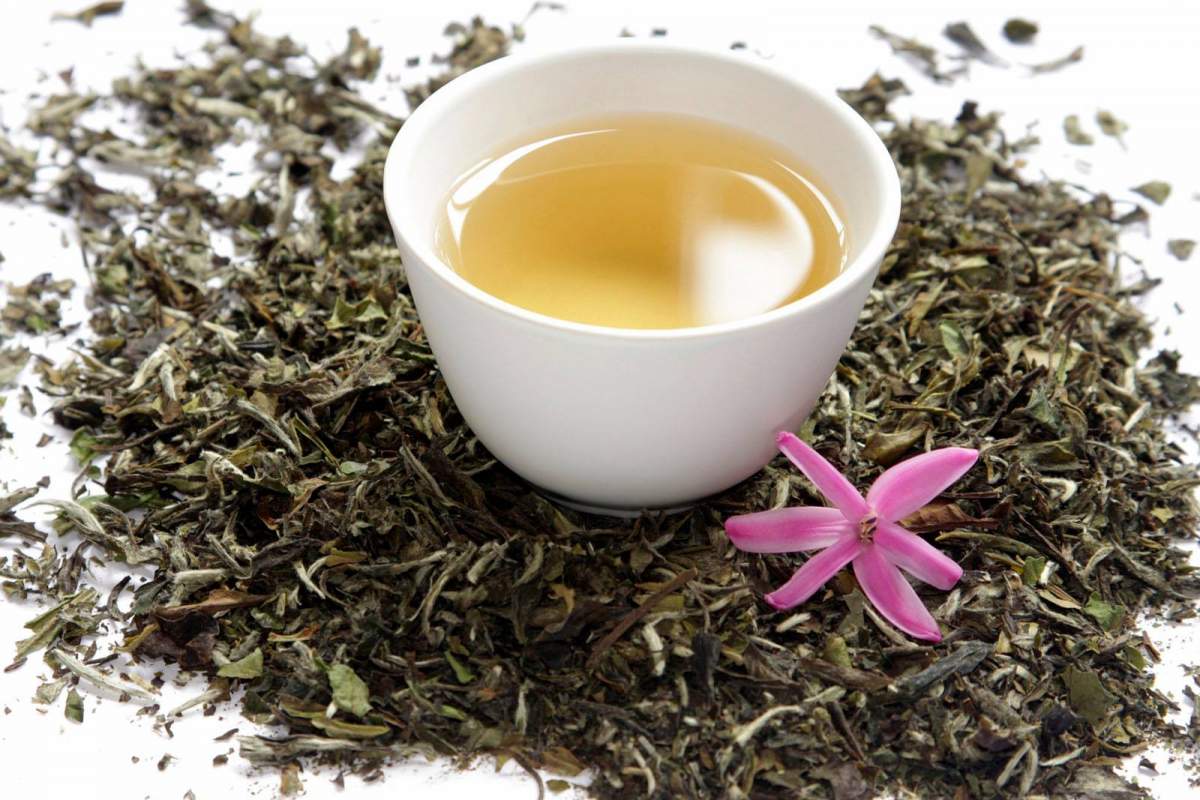 Ce beneficii are ceaiul alb pentru organismul uman
