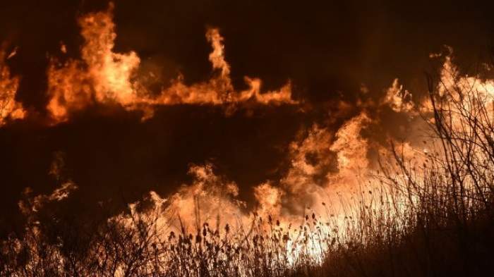 Incendiu de proporții în Delta Dunării. De ce nu pot interveni pompierii