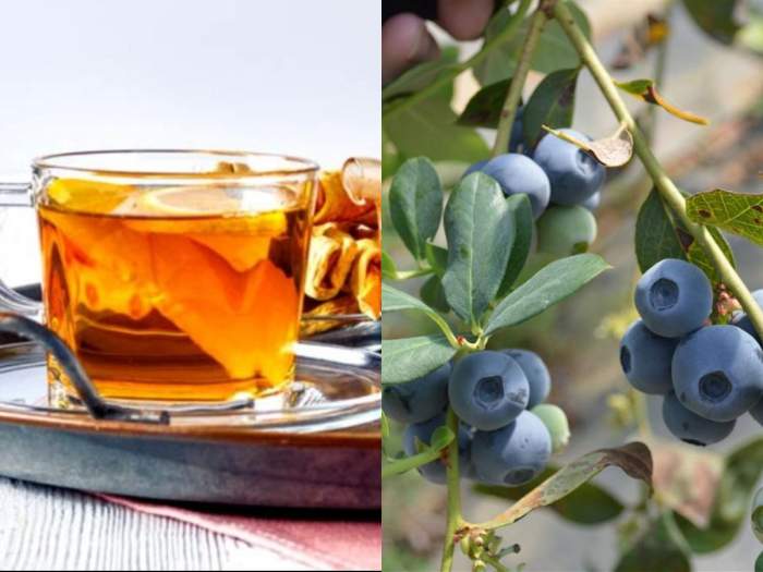 Ce benficii și contraindicații are ceaiul de afine