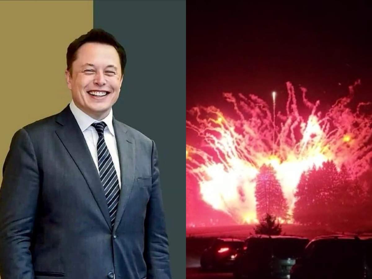 Imagini exclusive de la petrecerea de Halloween a lui Elon Musk. Ce s-a întîmplat la Castelul Bran / PAPARAZZI