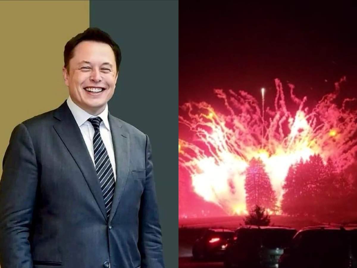 Imagini exclusive de la petrecerea de Halloween a lui Elon Musk. Ce s-a întîmplat la Castelul Bran / PAPARAZZI