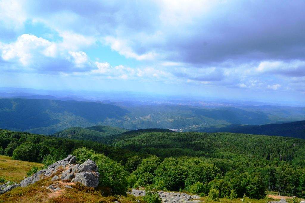 Orașul din România unde poți cumpăra un bloc întreg cu 49.000 de euro. Apartamentele au și vedere la munte! De ce se vând așa de ieftin / FOTO