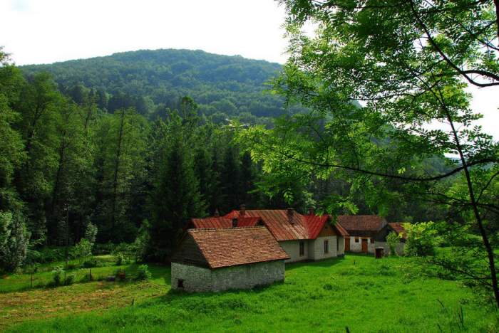Orașul din România unde poți cumpăra un bloc întreg cu 49.000 de euro. Apartamentele au și vedere la munte! De ce se vând așa de ieftin / FOTO