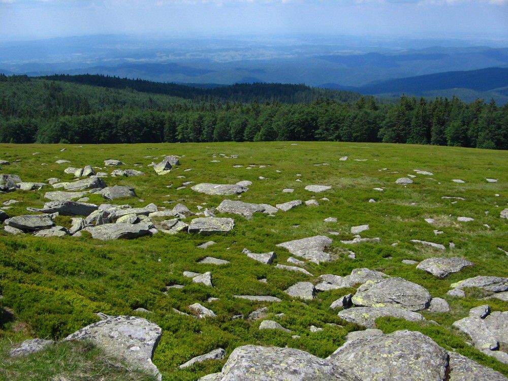 Orașul din România unde poți cumpăra un bloc întreg cu 49.000 de euro. Apartamentele au și vedere la munte! De ce se vând așa de ieftin / FOTO