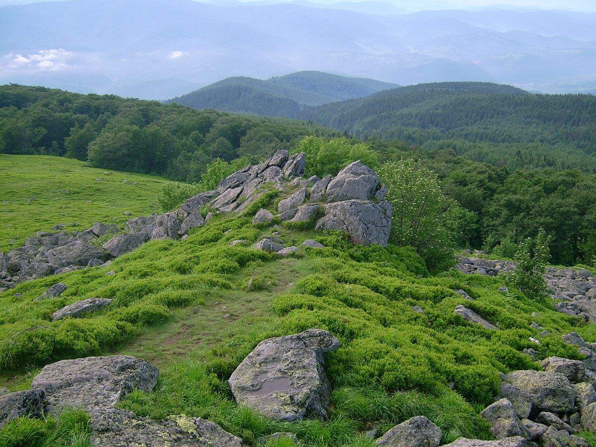 Orașul din România unde poți cumpăra un bloc întreg cu 49.000 de euro. Apartamentele au și vedere la munte! De ce se vând așa de ieftin / FOTO