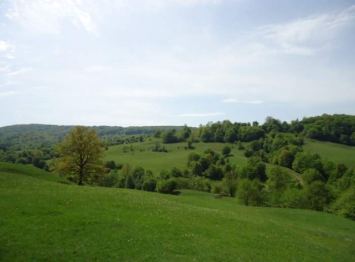 Locul din România binecuvântat de Dumnezeu. Ce se întâmplă cu oamenii care intră în Izvorul Îngerilor / FOTO