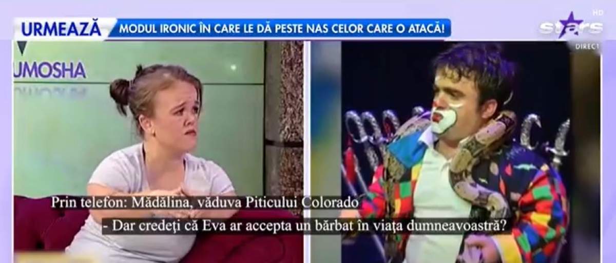 Văduva Piticului Colorado, captură Antena Stars