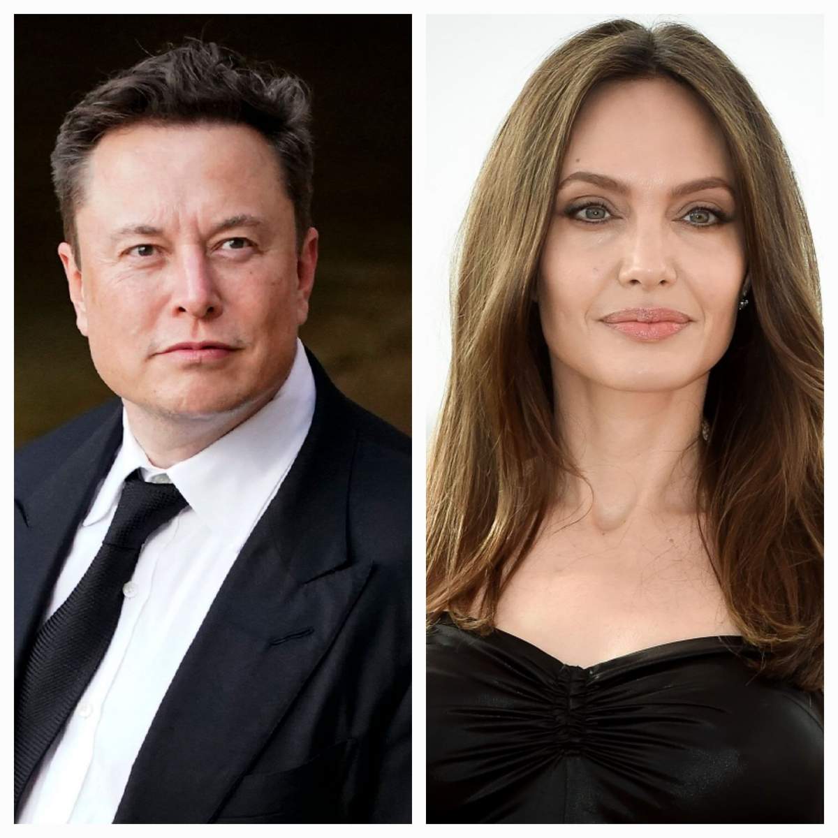 Elon Musk și Angelina Jolie nu au intrat în România. Anunțul făcut de oficialii MAI