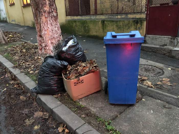 Amenzi pentru românii care aruncă gunoiul la întâmplare
