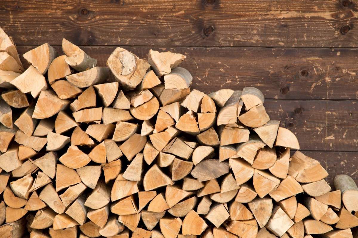 Prețul lemnelor de foc, plafonat. Anunțul oficial făcut de Nicolae Ciucă