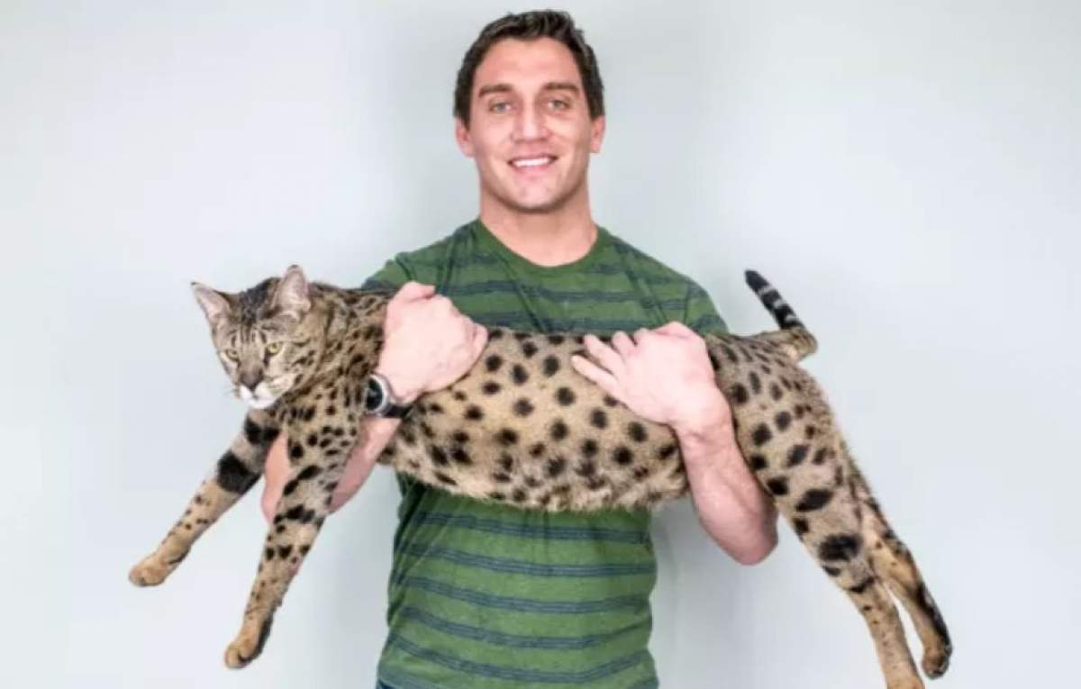 doctorului William John Powers cu pisica în brațe