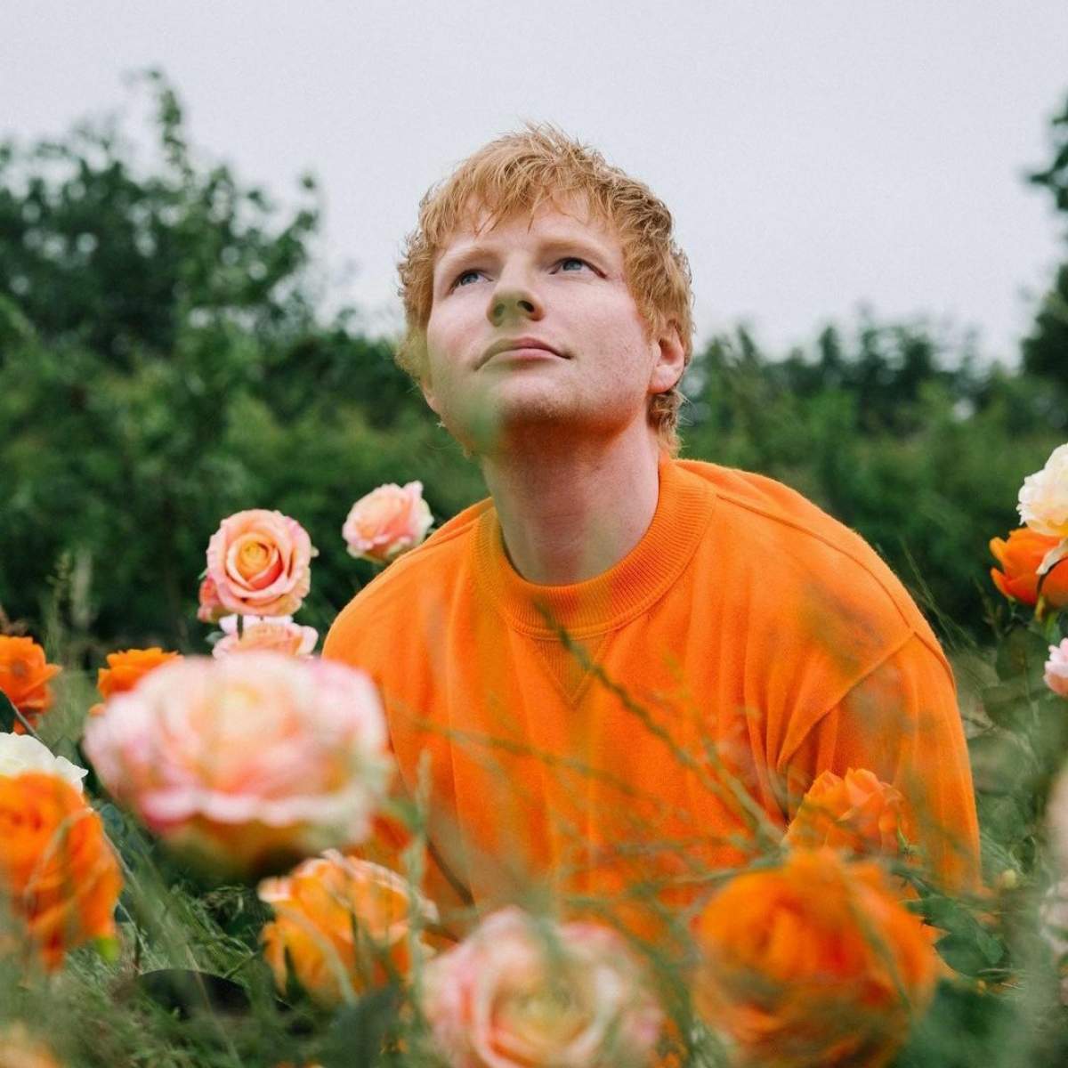 Câți bani a plătit un fan pentru o halbă de bere din care a băut Ed Sheeran. Suma e incredibilă