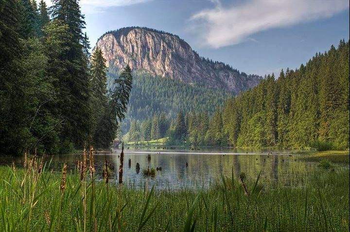 Locul din România unde te poți caza gratuit. Zona în care poți dormi fără să plătești / FOTO