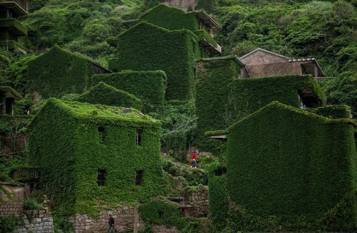 Locul care a fost „înghițit” de natură. Clădirile sunt acoperite de iarbă de ani buni / FOTO