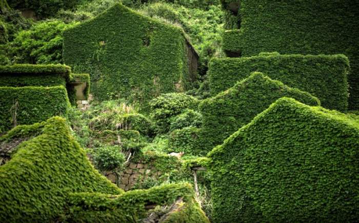 Locul care a fost „înghițit” de natură. Clădirile sunt acoperite de iarbă de ani buni / FOTO