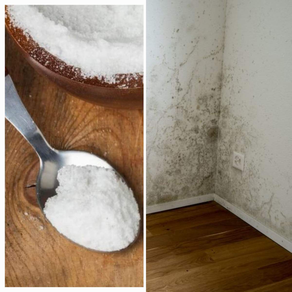 Bicarbonatul de sodiu te scapă de mucegaiul din locuință. Trucul la care apelează multe gospodine