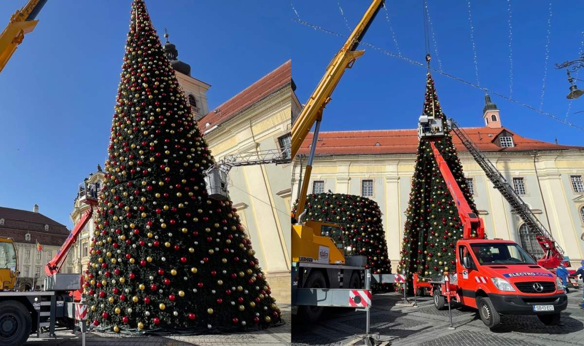 Celebrul brad de Crăciun din Sibiu a fost montat. Au început pregătirile pentru sărbători
