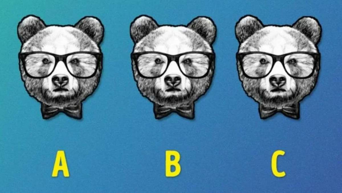 Testul de inteligență pe care mulți români îl pică. Tu iți dai seama care este ursul diferit din imagine?