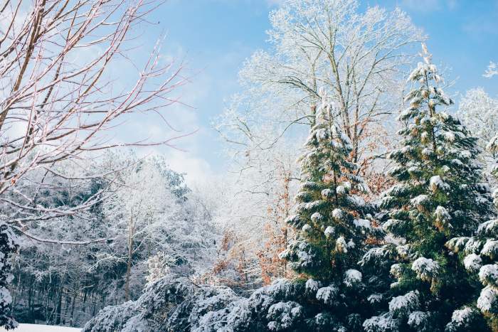 Anunț ANM. Iarna revine în România. Cum va arăta vremea de Crăciun