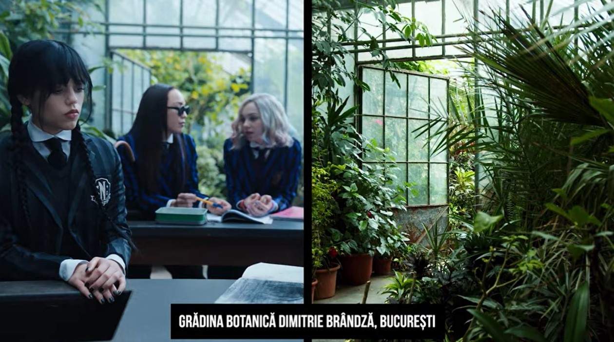 Locurile din România unde s-a filmat serialul "Wednesday". Cum arată în realitate și cum arată în serial