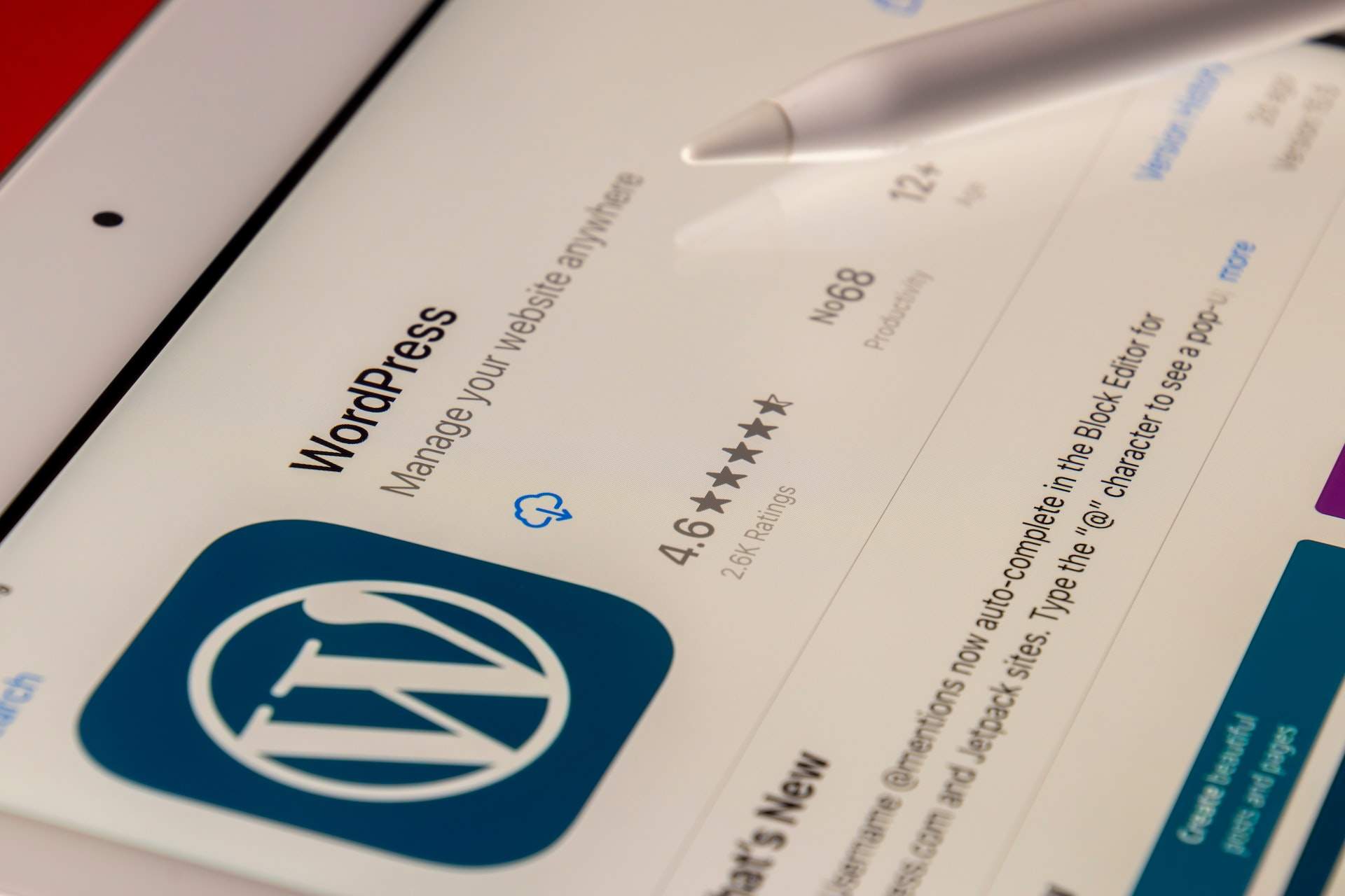 (P) Sfaturi esențiale de întreținere pentru un website WordPress