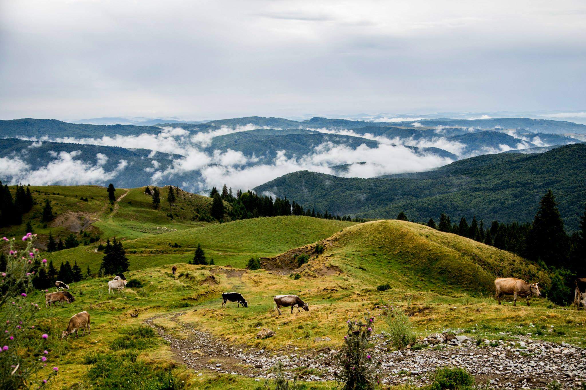 Locul din România care are un drum spectaculos. Nu este Transfăgărășan și nici Transalpina. Zona este de poveste / FOTO