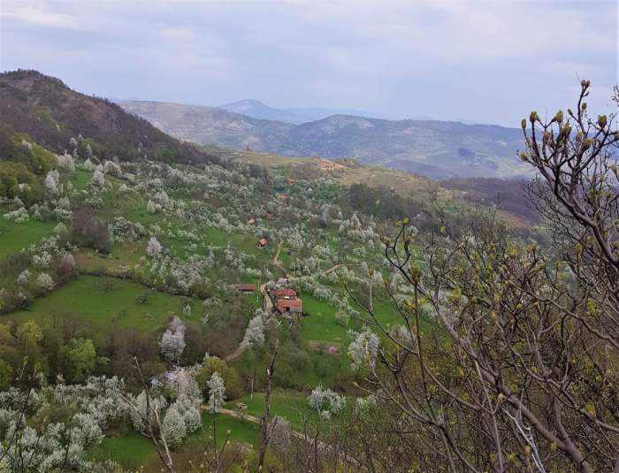 Satul din România cumpărat cu banii de o mașină. Pe lângă case, afaceristul a primit si 250 de hectare / FOTO