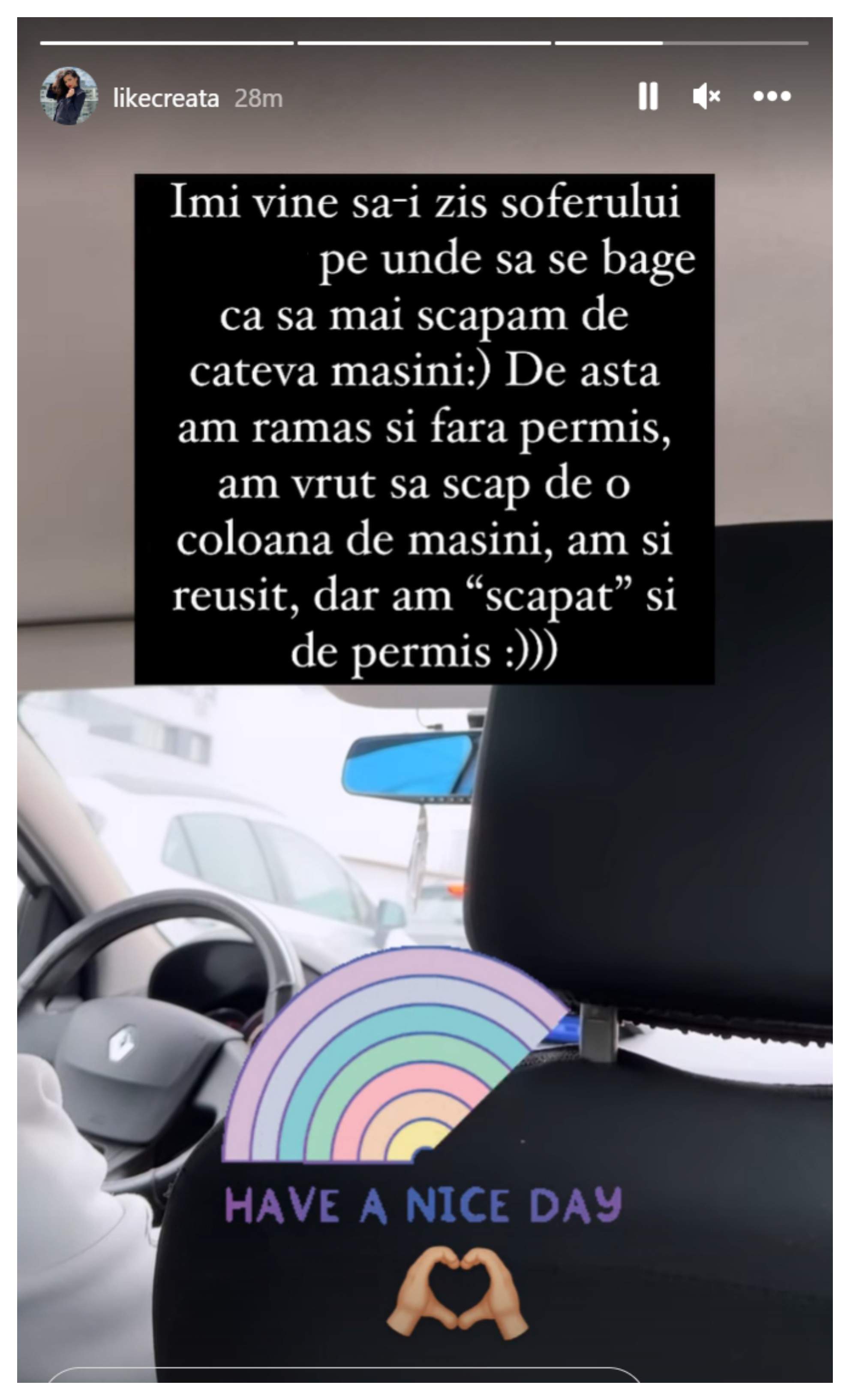 Like Creața de la Chefi la cuțite a rămas fără permis. Cum a fost prinsă vedeta de oamenii legii: "Am vrut să scap..."