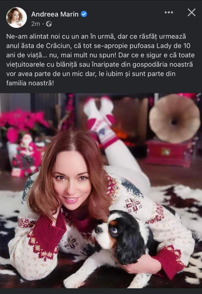 Cum își răsfață Andreea Marin prietenii necuvântători. Gestul pe care vedeta îl va face de sărbători: ”Le iubim și...”