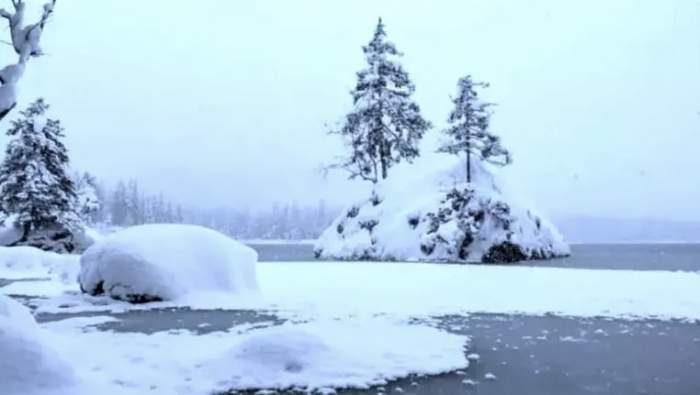 Testul de atenție pe care mulți români îl pică. Găsește ursul polar din imagine