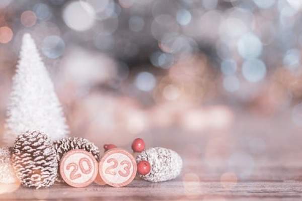 2023 va fi anul Iepurelui de Apă în zodiacul chinezesc. Ce schimbări majore va aduce