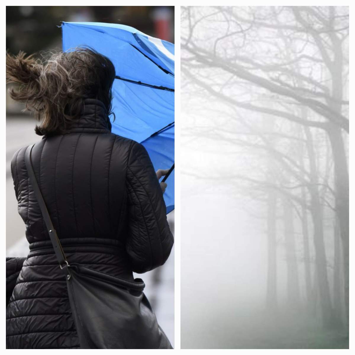 Vânt și ceață Avertisment ANM de ultim moment! Cod galben de ceaţă şi vânt