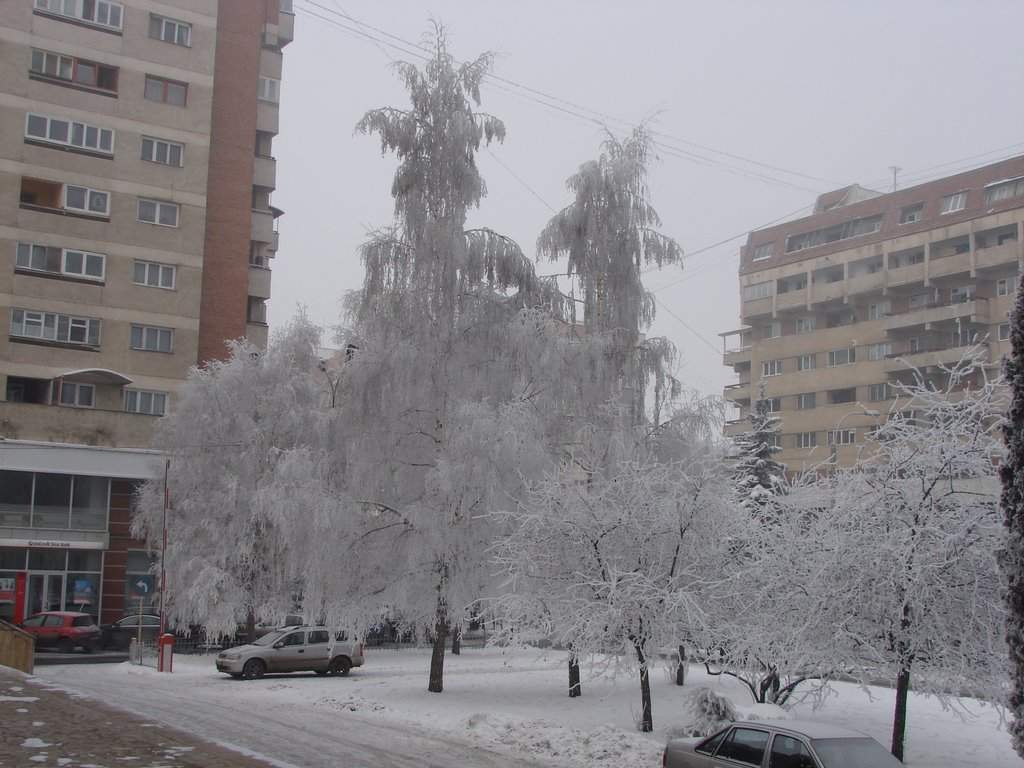 "Micile Siberii" ale României. Două locuri unde crapă pietrele de ger / FOTO