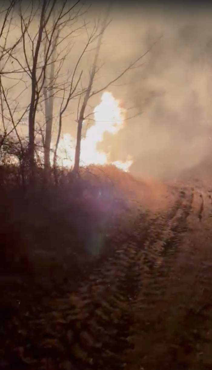 Incendii devastatoare de vegetație în două comune din Dolj. Focul s-a întins până în apropierea caselor